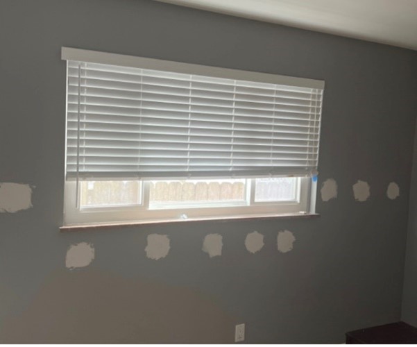 Werner Cellulose Wall Insulation