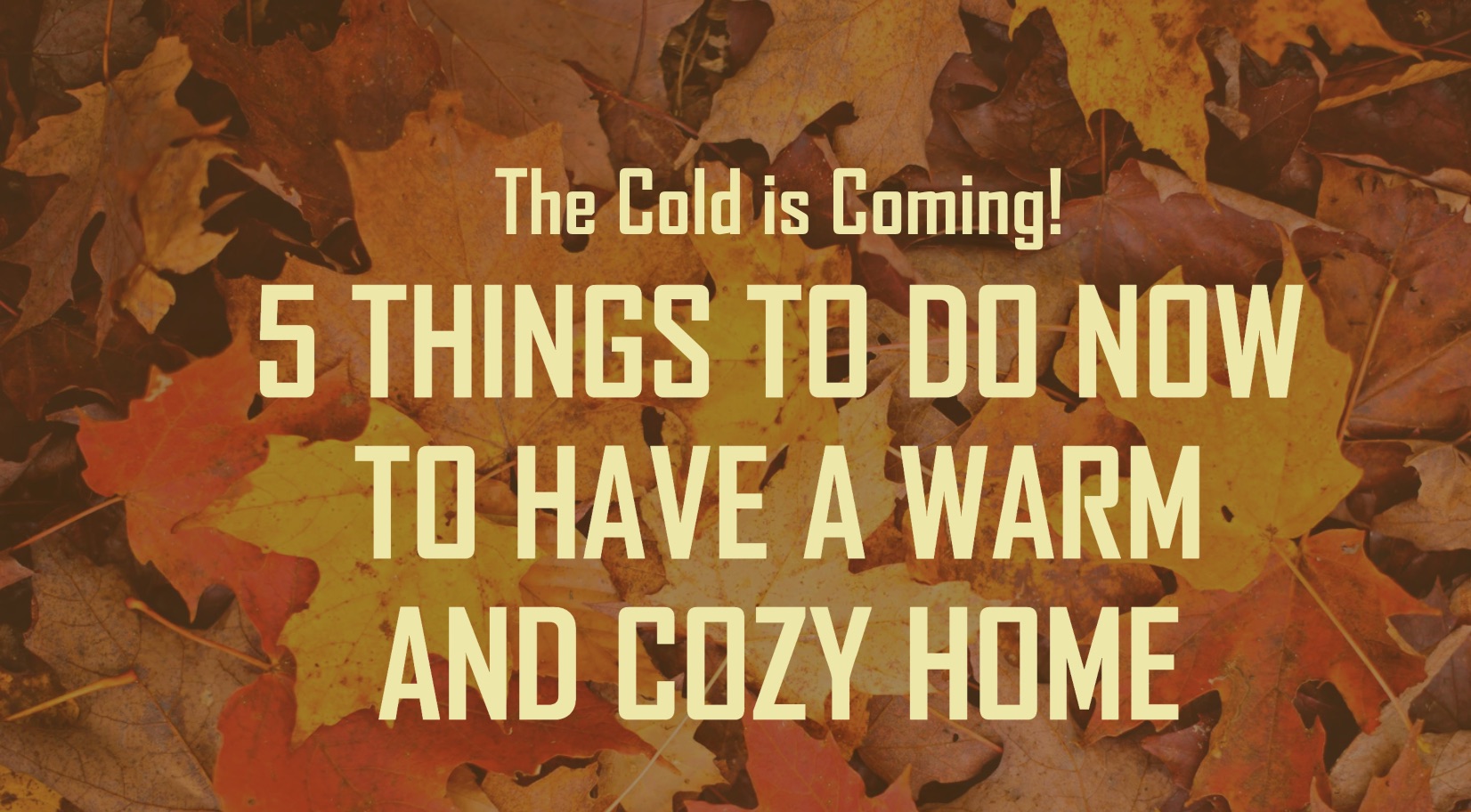 5 things to do now to before the cold