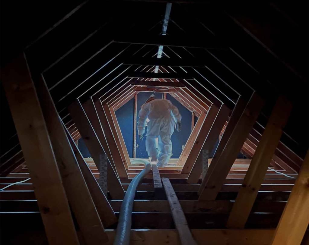 attic insulation