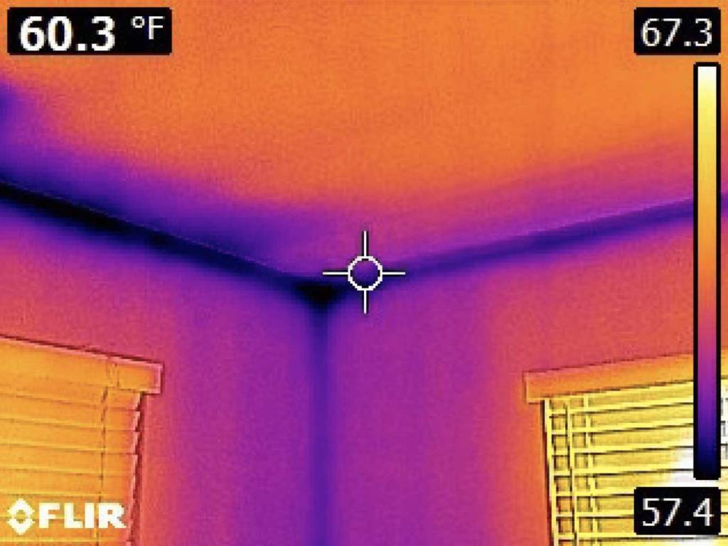 ir camera image - before project