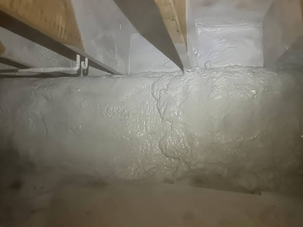 ir camera photo of crawlspace encapsulation