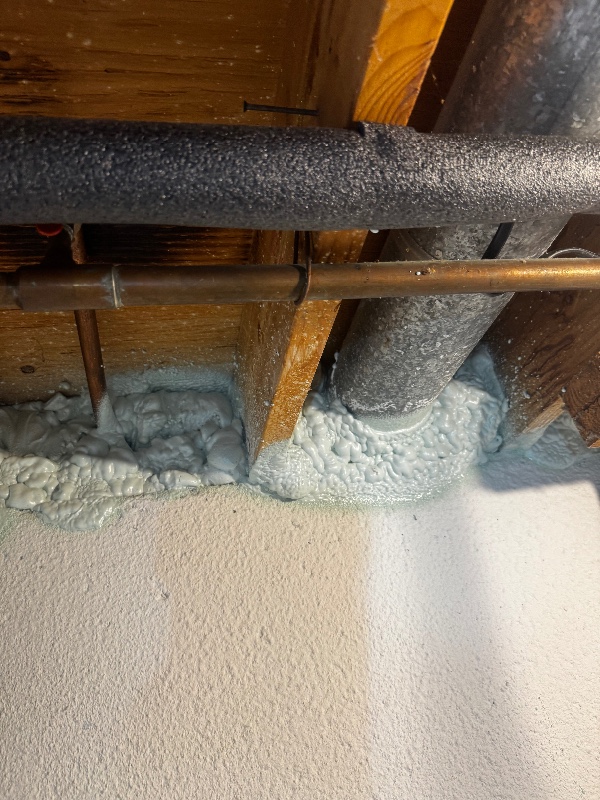 7c90e055_7c31_4280_8f7b_848ffb9a67c7.photo.010306